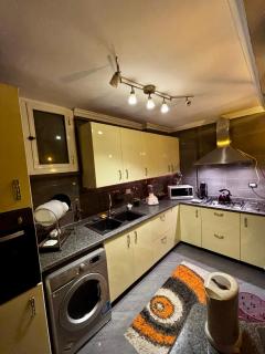 Springy Mo0oD Apt - 3