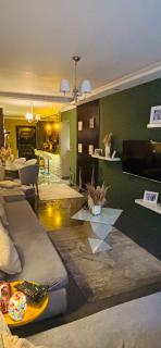 Springy Mo0oD Apt - 1