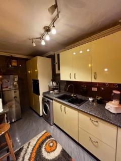 Springy Mo0oD Apt - 2