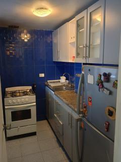 Fully equipped apartment in Providencia - 9