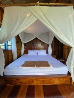 Lily's Blue View - 1