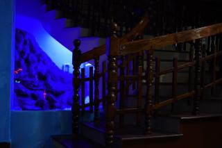 Hotel O Cardamom Rock Inn - 6