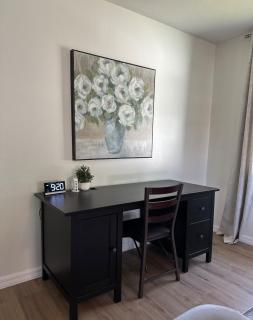 CASA SOLÉ, South Tampa - 6