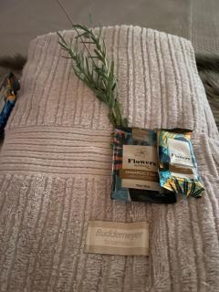 CABANA SERRA DA BALANÇA - 8