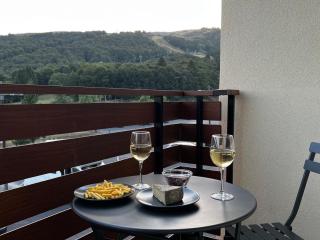 Studio moderne à Super Besse, vue lac des Hermines - FR-1-814-136 - 0