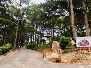 Resort Hoa Sim Da Lat - 1