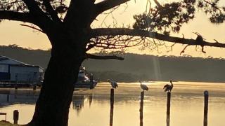 Happy Dayz Only 2 Hours From Sydney - 3