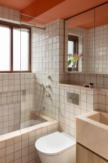 The Orange apartment-harbour, ANZAC bridge views - 3