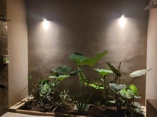 Residence in Salinitas, Los Cobanos - 2