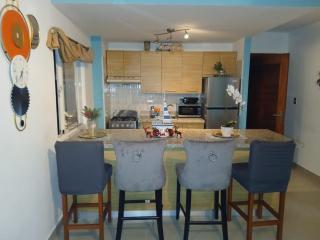 Serena Village Punta Cana 12 min away from PUJ Intl - 4