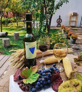 Tiny House Nada Vineyard - 8