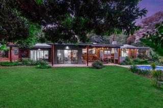 Bird of Paradise - 1