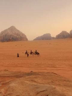 Wadi Rum Desert Life - 4