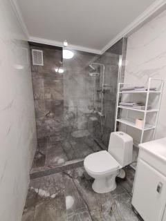 Дечебал 99Д - 1