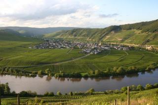 Claes Weinquartier - Appartements & Wein by Niko Schmitt - Trittenheim - 9