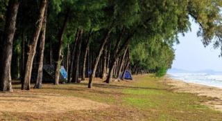 Pilton Resort - 4