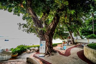 Sky beach condominium - 6