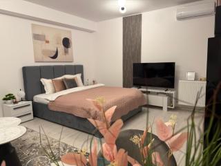 Sofia Residence - Otopeni Airport & Therme I Libertatii Gardens - free pool facilities - 3
