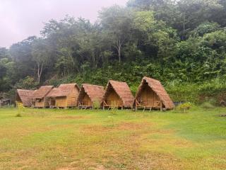 Eco Resort Laos - 0