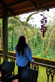 Misty Woods Homestay - Best homestay in Chikmagalur - 6