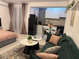 Sofia Residence - Otopeni Airport & Therme I Libertatii Gardens - free pool facilities - 6