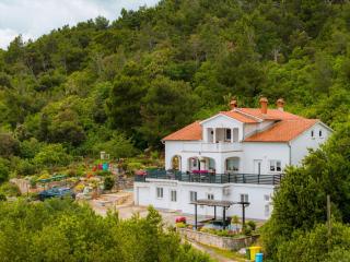 Villa Paradiso in Plomin - Istrien - 4