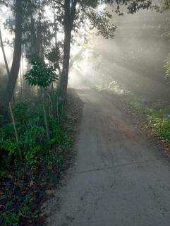 Tigers Corner Homestay - 8