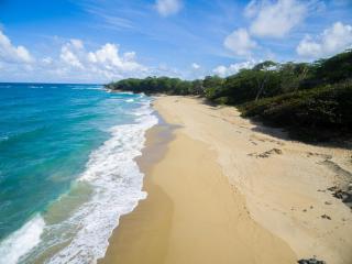 Natura Cabana Boutique Hotel & SPA by Mint - Cabarete - 6