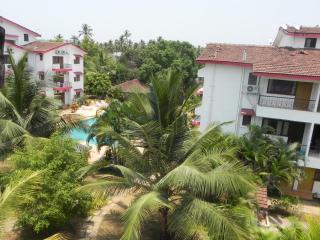 Tropical VIBES RETREAT - 4