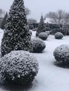 Баня,Сауна ДОМАШНІЙ ЗАТИШОК - 9