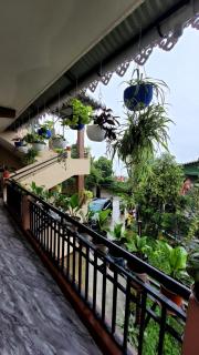 hill harmony homestay - 9