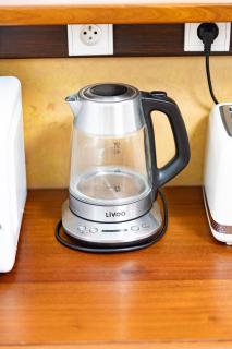 Villa Riche en Roches - 5