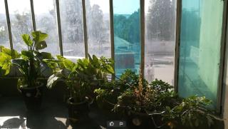 Silk Way Guest House - 1