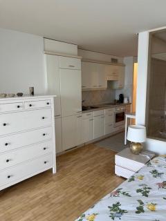 Studio avec accès direct au lac de Geneve - 1