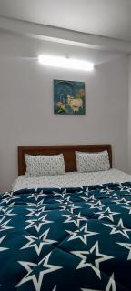 Aam Bagh Guest House - 3