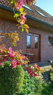 Ferienwohnung Wiesenblick - 5