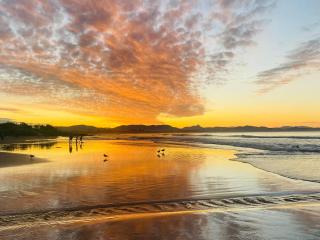 Tallows Call - Central Byron Bay - 2