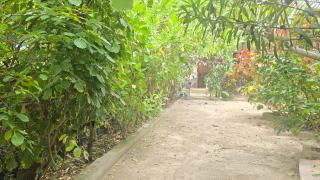 The Gale House - 6