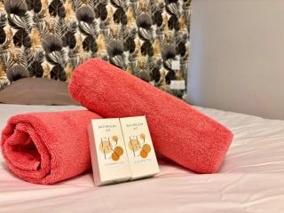 Charming apartment - City Center - Dinard - 9