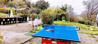 DIMORA IL CAMALEONTE country apartments with pool - 1