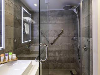 Novotel Santiago Providencia - 2