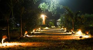 Bundeli Camps and Resorts, Panna - 4