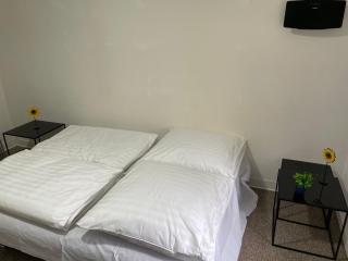 Charmante EG-Ferienwohnung für max 6 Personen, nähe Vogtland-Klinikum, Innenstadt, Bahnhof & Sehenswürdigkeiten - 2