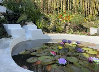 Arameh-A Boutique Orchard Retreat Near Kasauli - 6