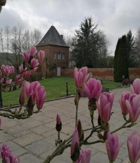 Le Château d'Ognies - 3