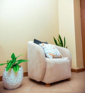 Easyhomes three bedroom apartment - 6