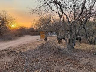 Elephant Rest - Marloth Park - 9
