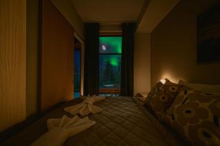 Aurora Chalet B5 by Aavalevi Holidays, Ski-in Ski-out, Mountain View - 8