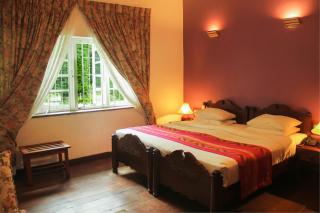 Hotel Glendower - Nuwara Eliya - 9
