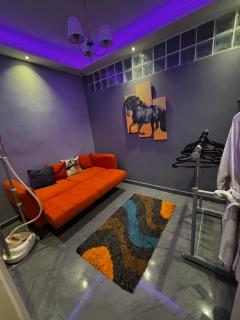 Springy Mo0oD Apt - 4